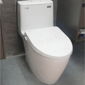 Bàn cầu INAX 2 khối C-306VPTN màu trắng